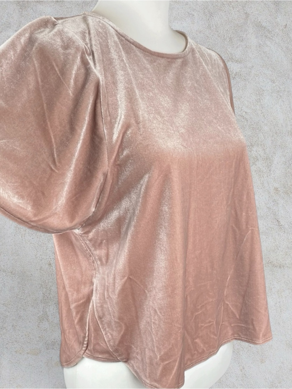 Madewell Blush Pink Velvet Flutter Sleeve Top Small Coquette Balletcore Romantic - Picture 4 of 8